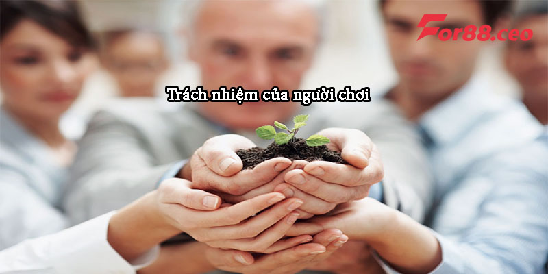 Trách nhiệm của người chơi với điều khoản và điều kiện